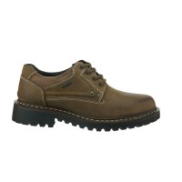Josef Seibel | Lace Up | Chance 59 in Brown