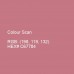 Qnuffs | Barefoot Shoe | Fichte in Pink (Hellgrau/Fleur)